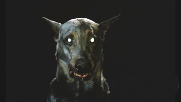 Dracula’s Dog