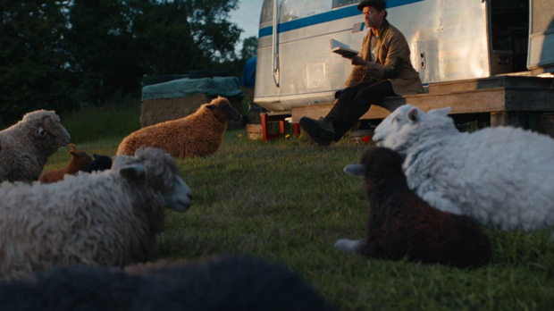 The Sheep Detectives